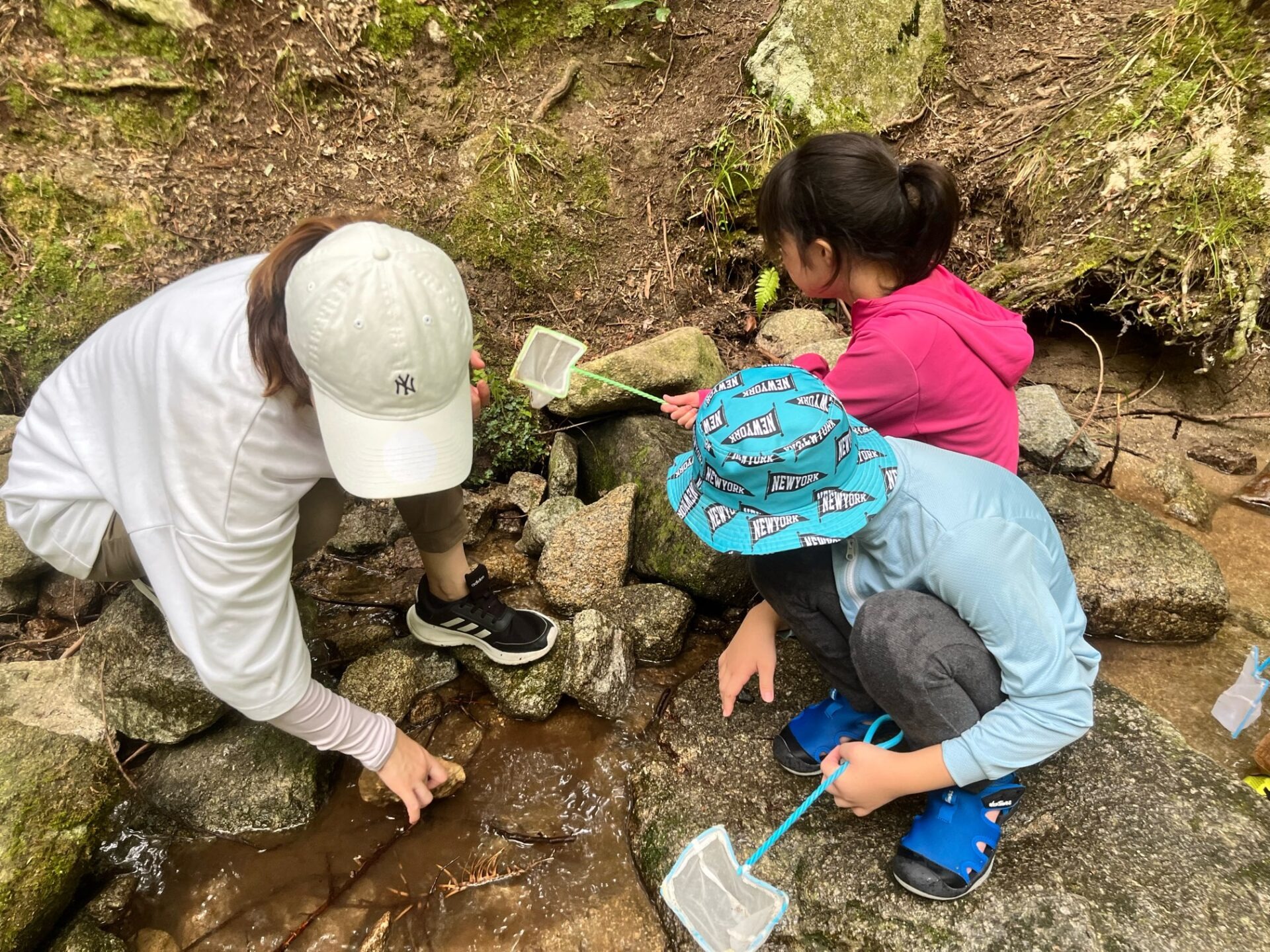 8月10日(水)  沢遊びに行こう